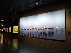 -罗红摄影艺术馆