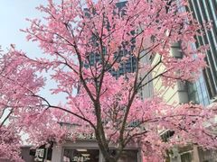 -首开·龙湖成都西宸天街