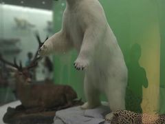 -国家自然博物馆