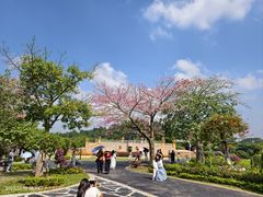 -东莞植物园