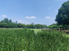 -月湖风景区
