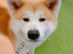 -YCHL Studios健身工作室(市二宫店)