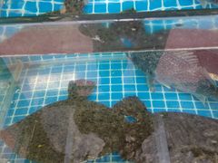 -富临港·蒸汽海鲜·手抓海鲜·炒菜(栈桥店)