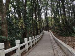 -灵岩山风景区