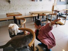 -平行世界·猫咖(首经贸店)