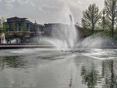 -石家庄市植物园
