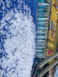 -小蜜蜂农场(凯德七宝购物广场店)