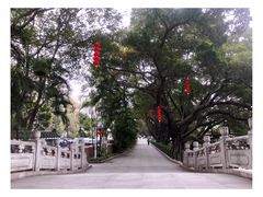 -东山湖公园