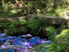 -三千院