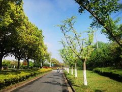 -南京市江宁方山