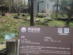 -都江堰中华大熊猫苑