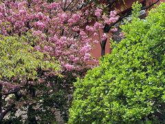 -石岛赤山风景区
