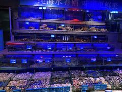 -青蓬蒸汽海鲜·深圳老字号·团建聚会(壹方城店)