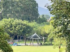 -火炉山森林公园