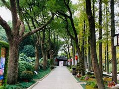 -上海醉白池公园