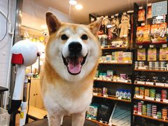 -PETKIT小佩宠物(古北店)