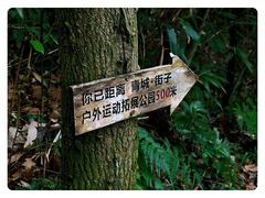 -凤栖山