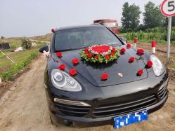 -蚂蚁婚车