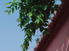 -昆明动物园