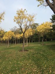 -大望京儿童游乐场