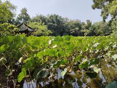 -房湖公园