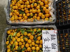 -海吉星市场