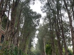 -广东外语外贸大学(白云山校区)