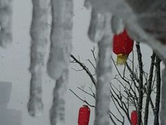 -梧桐餐厅(泉城路店)