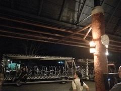 -清迈夜间动物园