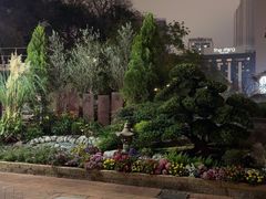 -九龙公园