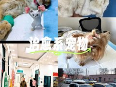 -派美特宠物医院·核磁CT·骨科肿瘤·疑难转诊(沈农禾丰店)