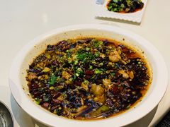 -三猫黑鱼花(南大店)