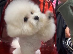 -FAELING PETS美天灵宠物(合生汇店)