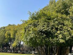 -汉水公园