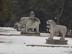 -清西陵