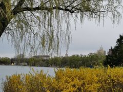 -中华世纪坛-停车场