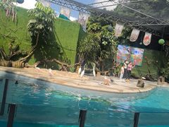 -广州长隆飞鸟乐园