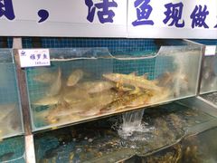 雅罗鱼-胖姐渔村(中源大道店)