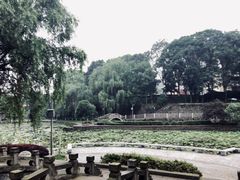 -西南交通大学(峨眉校区)