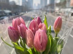 -循礼门鲜花花市(武汉循礼门店)