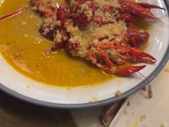 -杨氏青龙虾·羊蝎子(托乐嘉店)