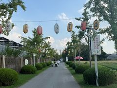 -菊园百果园