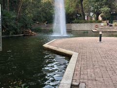 -九龙公园