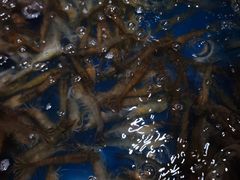 -永辉超市(群众路店)