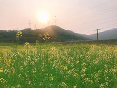 -石峰岩寺