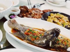 风味剁椒鱼-澳门酒家(南航明珠店)