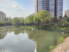 -南长河公园