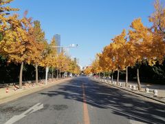 -大连人民广场