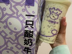 -一只酸奶牛(春熙路店)