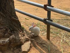 -秦皇岛野生动物园